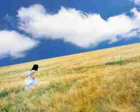 聚​合‍插‌件‍